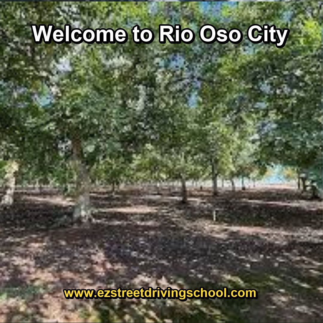 Driving Lessons in Rio Oso